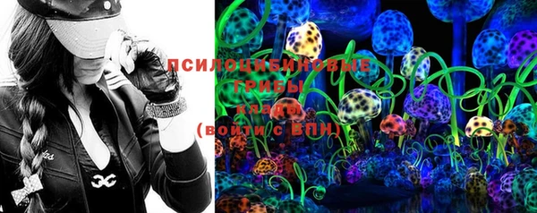 ПСИЛОЦИБИНОВЫЕ ГРИБЫ Богородицк
